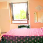Hotel Rita Major 2*